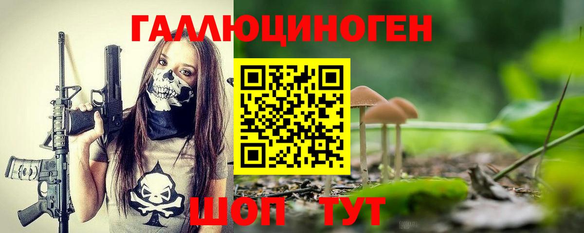 Псилоцибиновые грибы Cubensis Гулькевичи