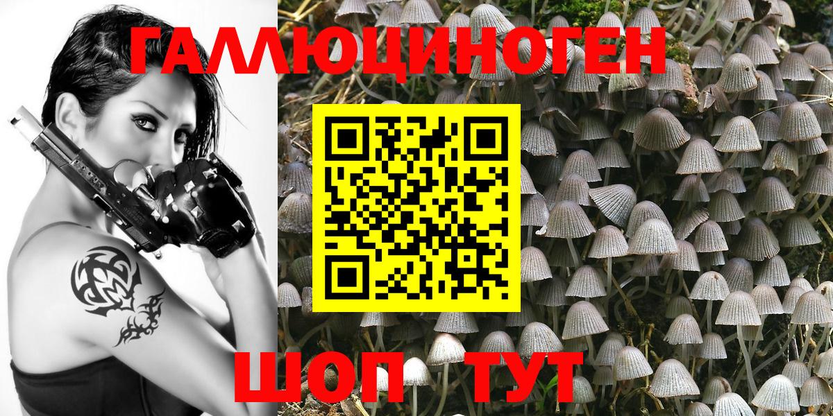 Псилоцибиновые грибы Psilocybe  Вход с VPN  наркотики  Галлюциногенные грибы Magic Shrooms  Гулькевичи 