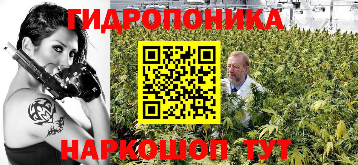 Конопля планчик Гулькевичи